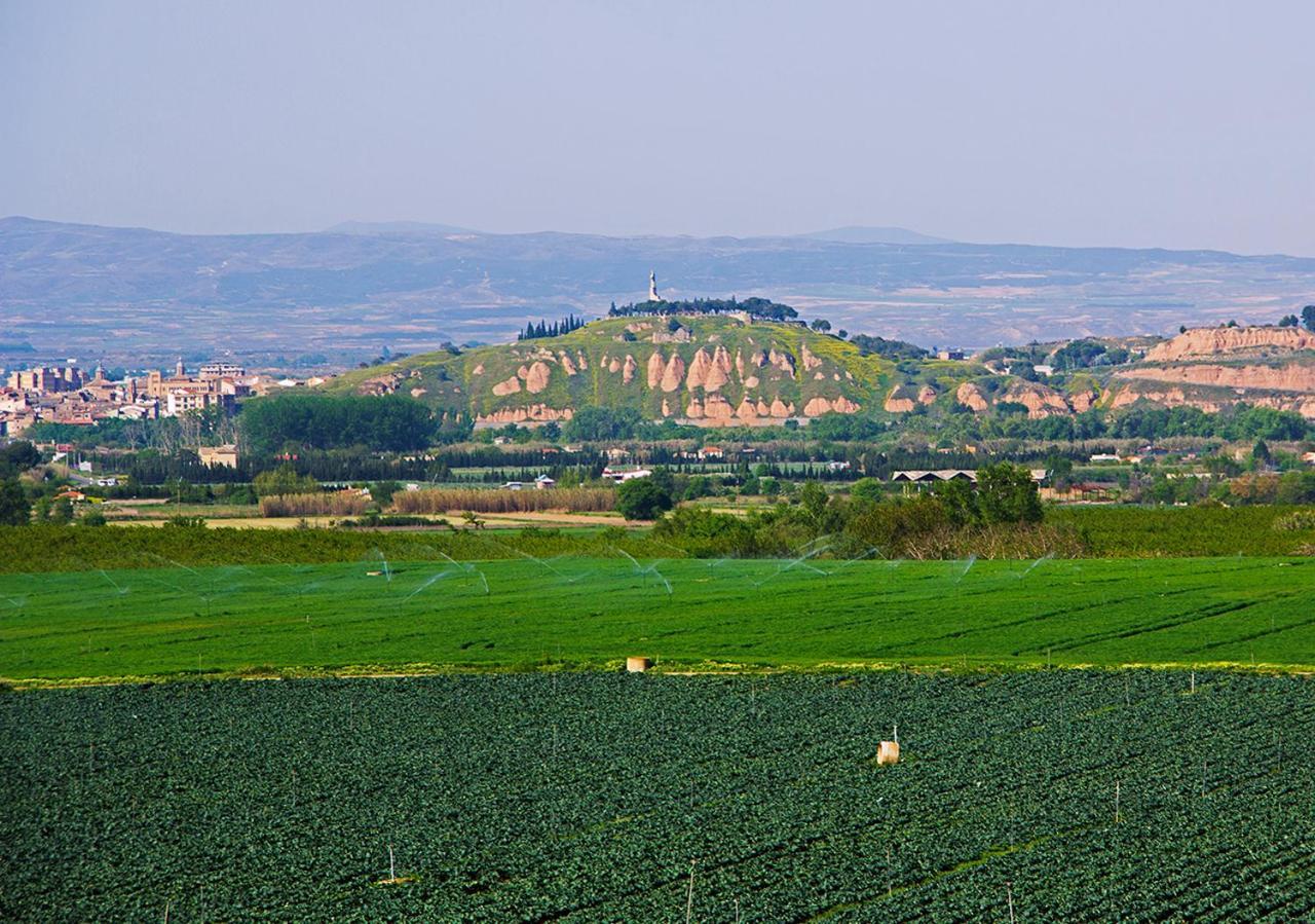 Hostal La Parrilla Tudela Kültér fotó